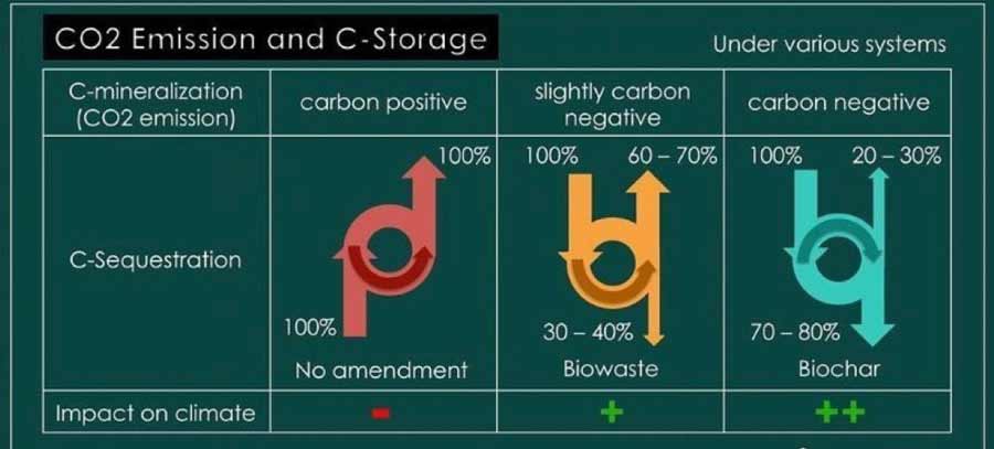 CO2 Emission and C-Storage diagram